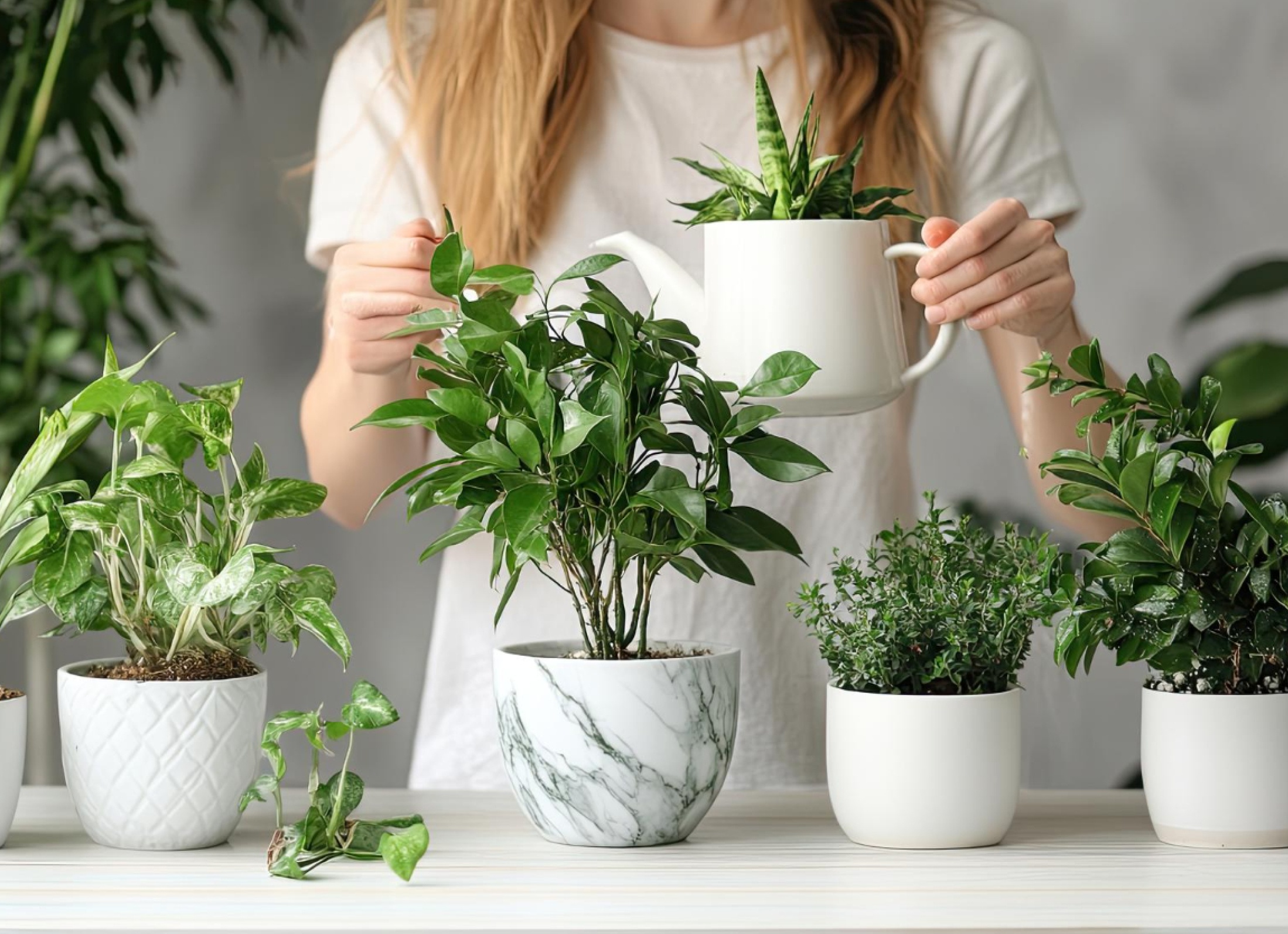 Дерево и трава с кустами png