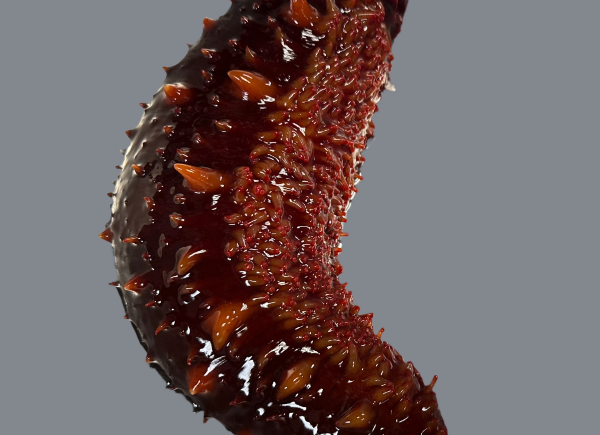 Свежие огурцы png