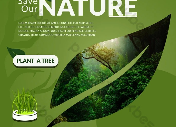 Шаблон баннера с природой psd